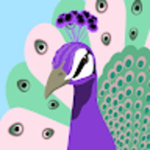 Meet your Posher, Marcie